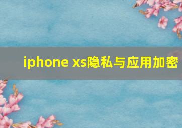 iphone xs隐私与应用加密